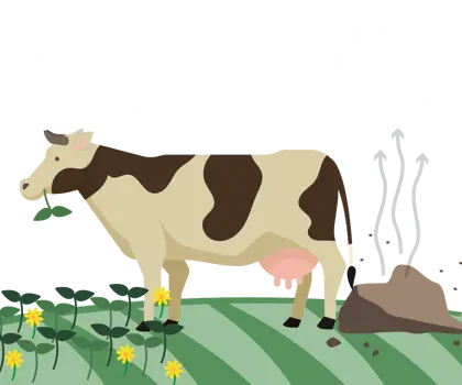 illustration of a cow and a cow dung