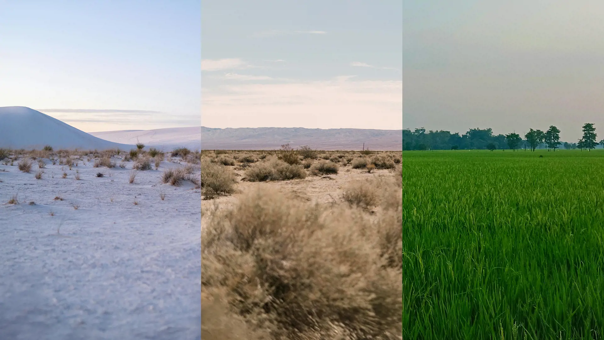 Climates climate 3 different, snow and cold, hot and dry, wet and green