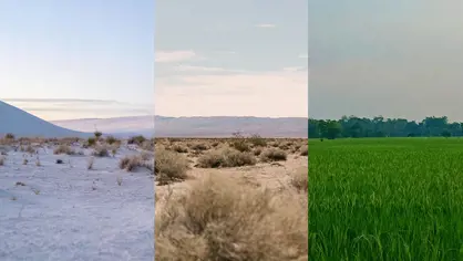 climates climate 3 different, snow and cold, hot and dry, wet and green